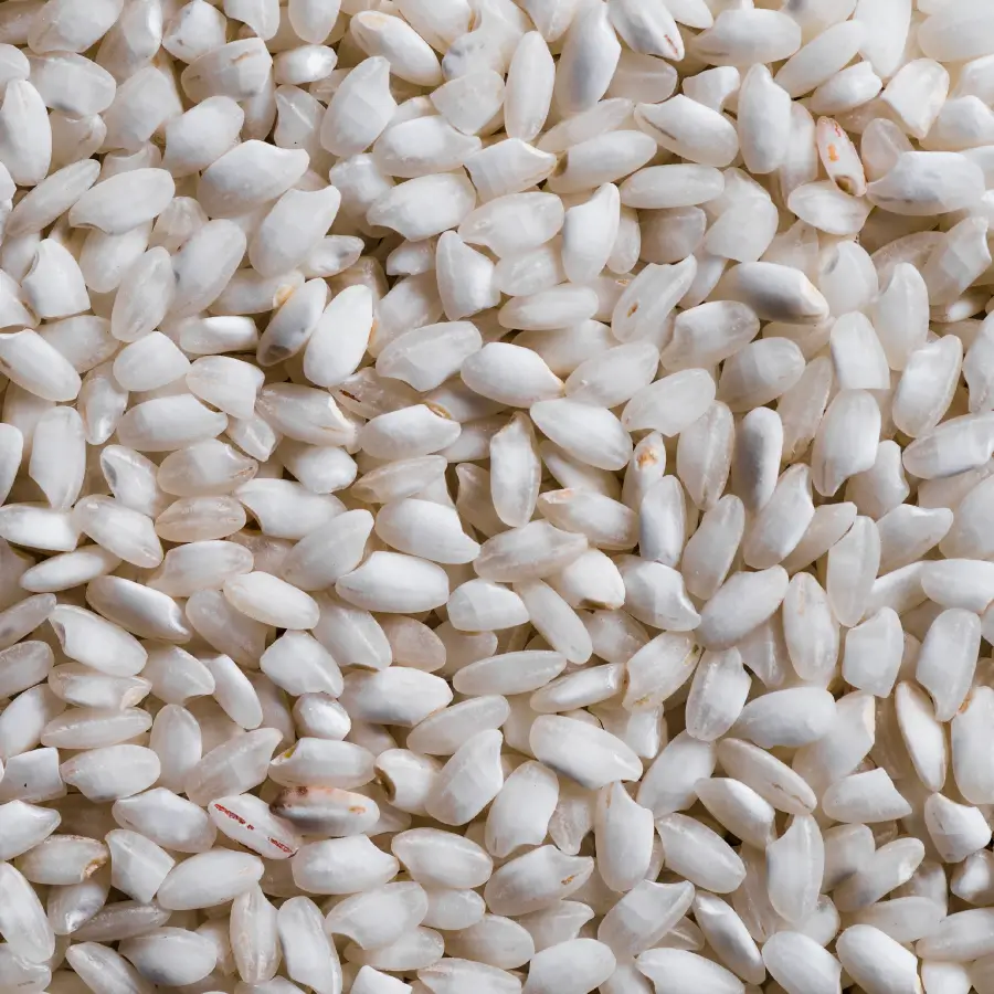 Rice Proteins Luare - luxury hair care brand. Best hair care products. Curly hair products. Najlepsze kosmetyki do włosów. Odżywki do włosów. Szampon do włosów. Pielęgnacja włosów. Naturalne szampony.